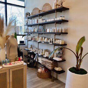 LashLuv Beauty Bar Bothell WA Retail Waxing Eyelash Eye Brow Facial Products